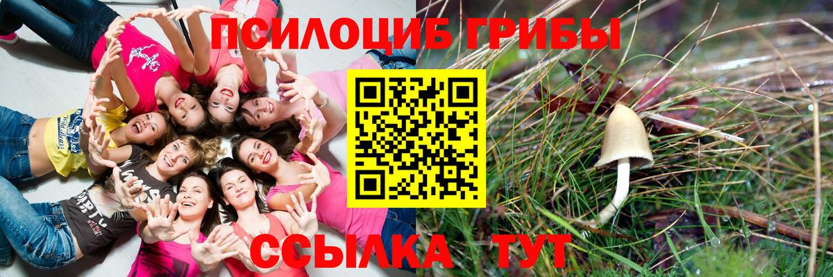 Галлюциногенные грибы мухоморы Ейск